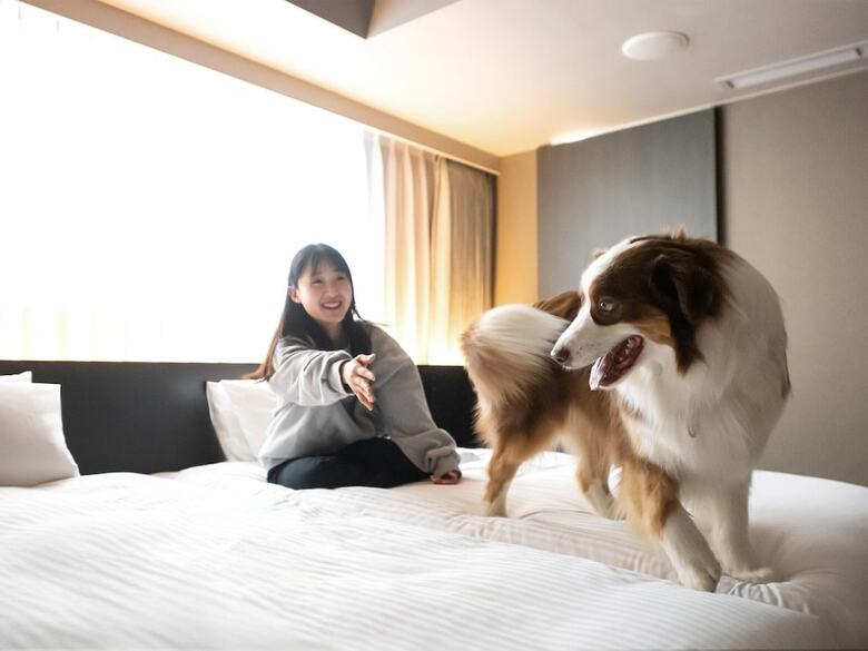 Hotel Anddoggy Kyoto Nijo