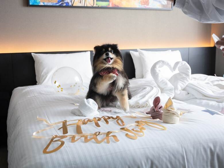 Hotel Anddoggy Kyoto Nijo