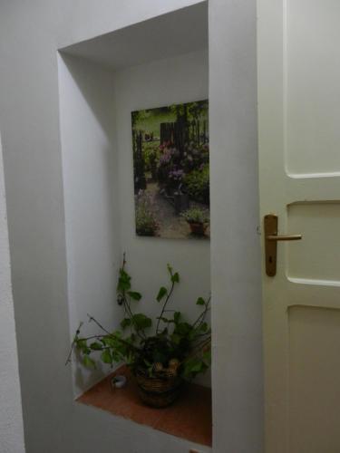 Bed & Breakfast Poggio Accogliente