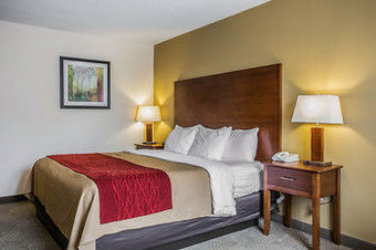 Hotel Comfort Inn & Suites Santee