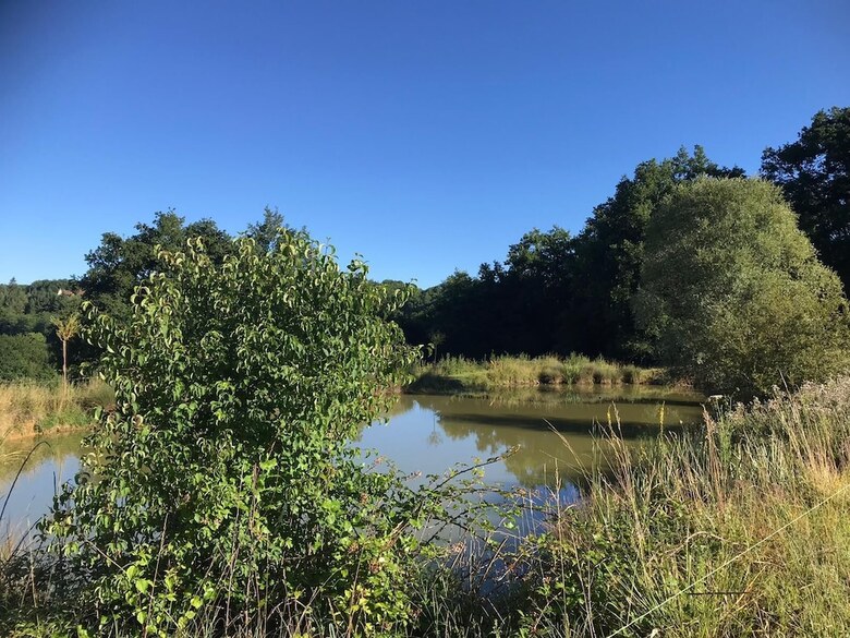Les Cabanes Perch�es Du Mas Del Bosc