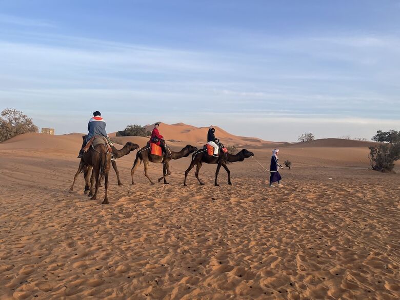 Bed & Breakfast Desert Sparrow Luxury Camp