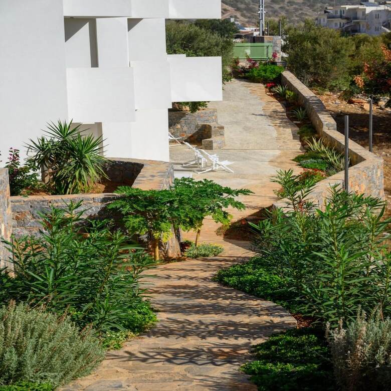 Roots Suites In Crete