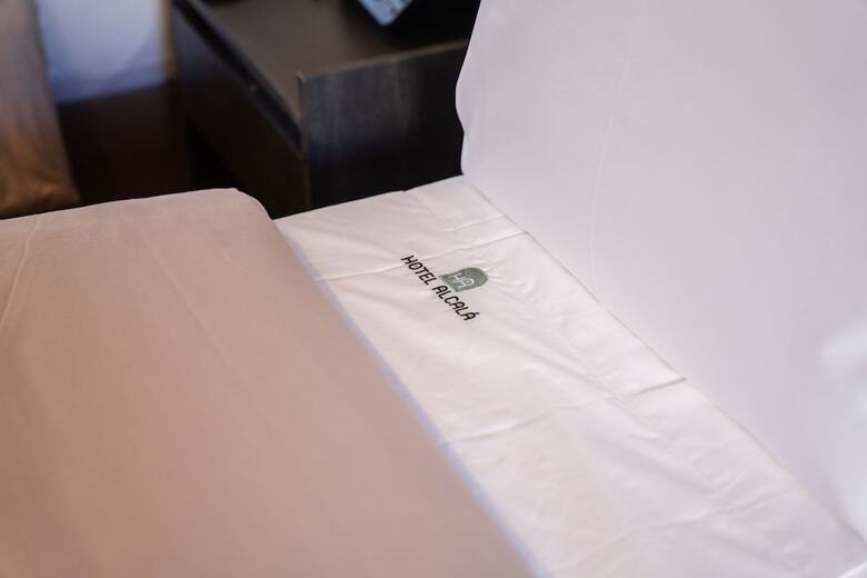 Hotel Alcal� Expo