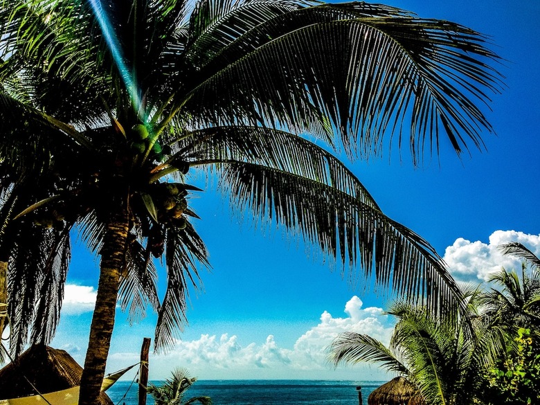 Acamaya Reef Cabanas - Caravan Park