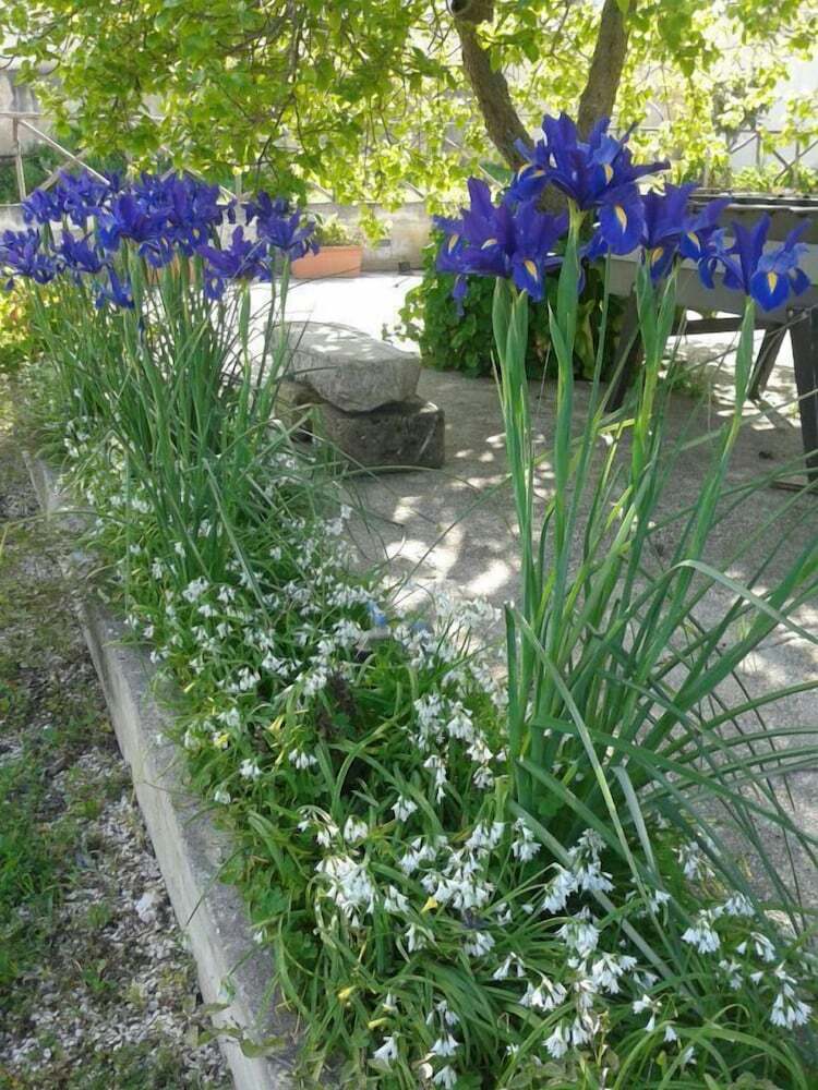 Bed & Breakfast Baglio Ferlito