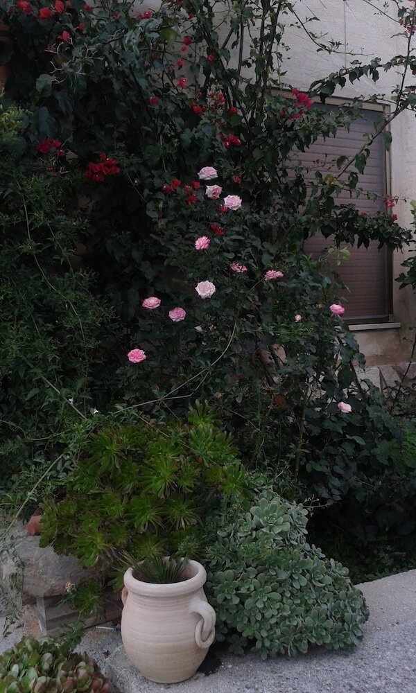 Bed & Breakfast Baglio Ferlito