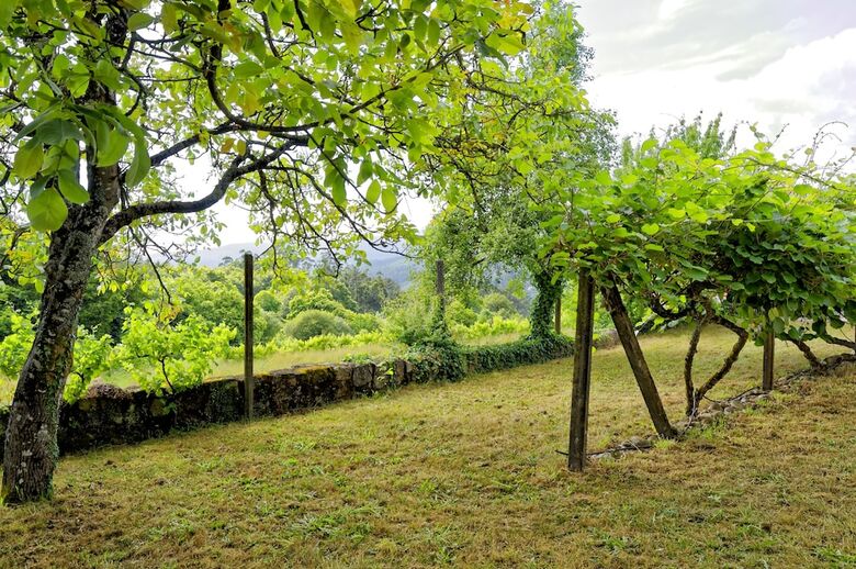 Zen Vouga - Quinta Do Fundo De Vila