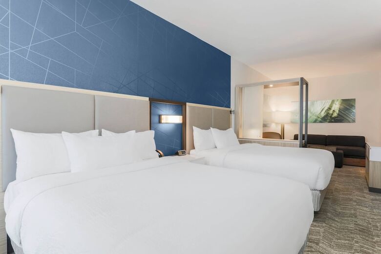 Hotel Springhill Suites By Marriott Tallahassee North