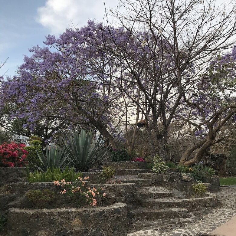 Hotel Boutique Castillo De Piedras Vivas