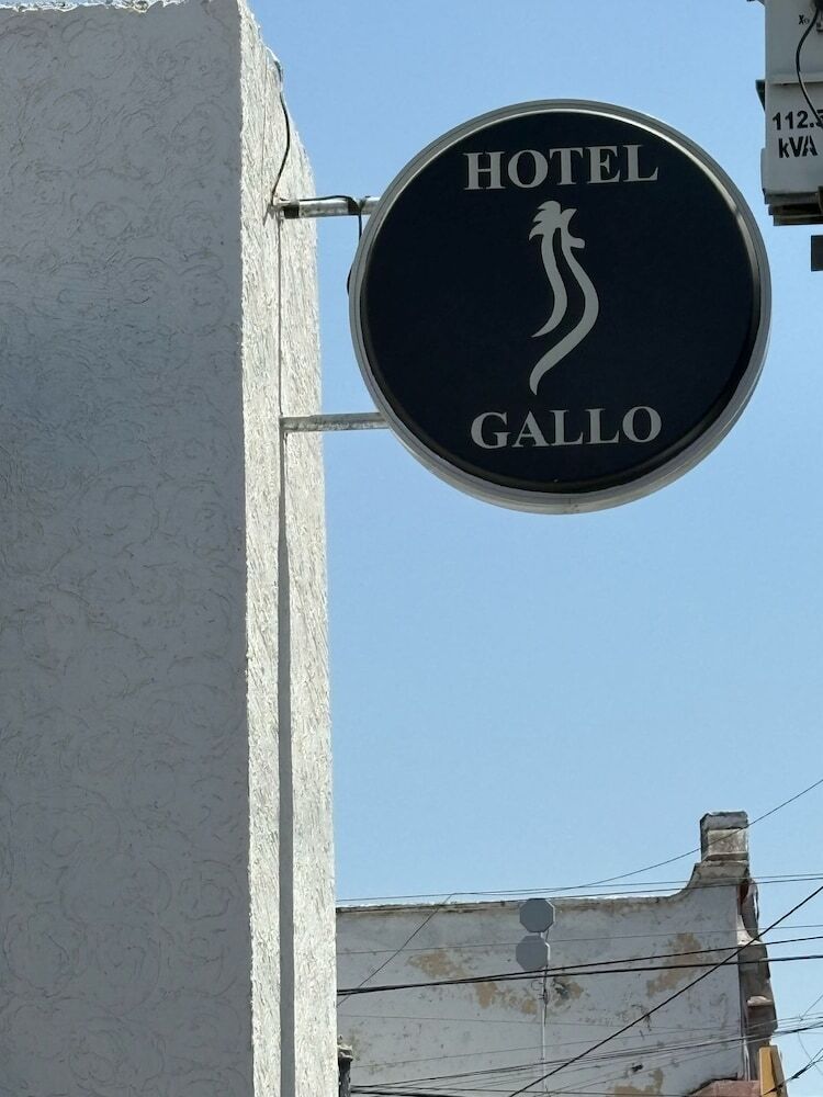 Hotel Gallo Rubio
