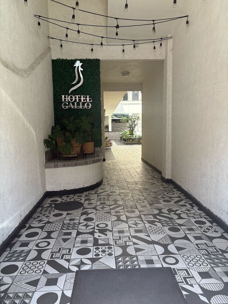 Hotel Gallo Rubio