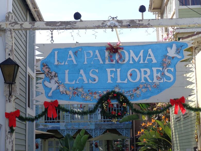 Hotel La Paloma Las Flores