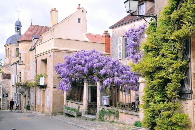 Hotel H�tel Les Glycines
