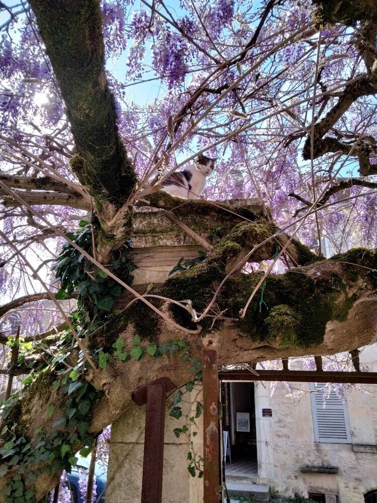 Hotel H�tel Les Glycines