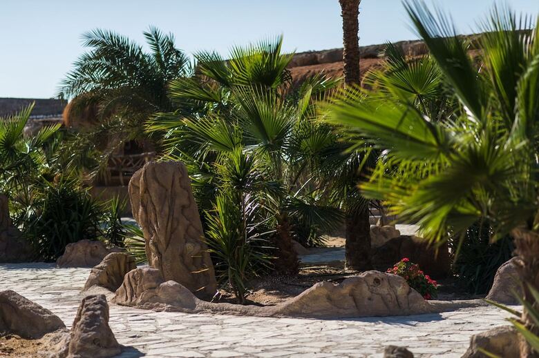 Caves Beach Resort Hurghada - Adults Only - All Inclusive