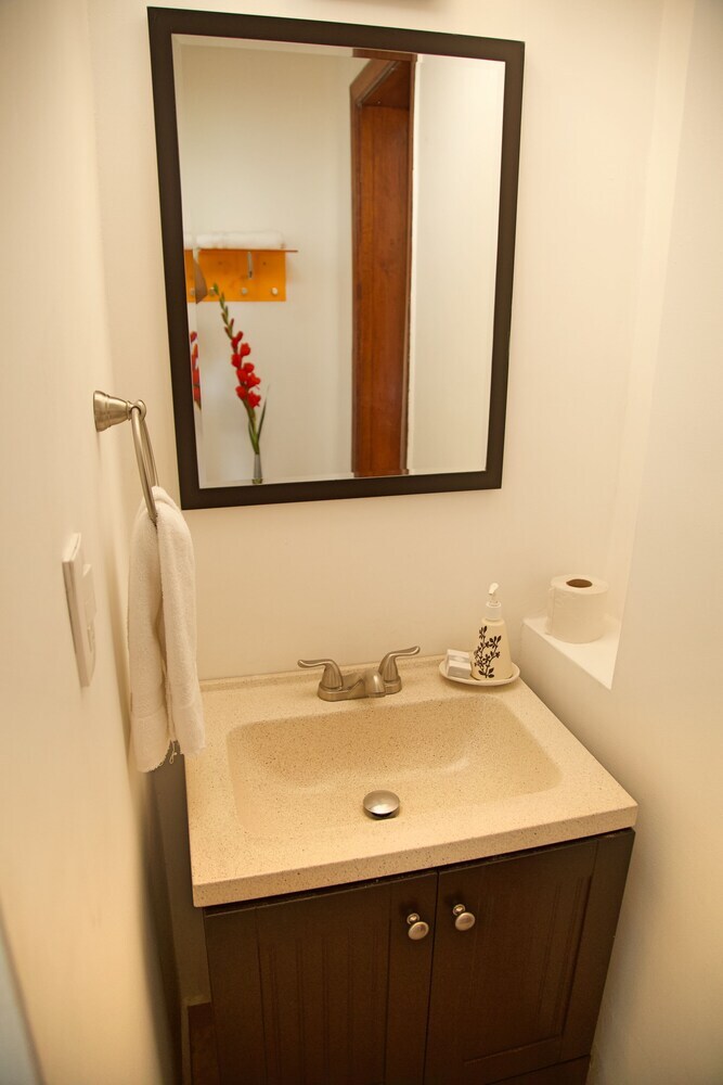 Apartamentos Condesa Haus Rentals
