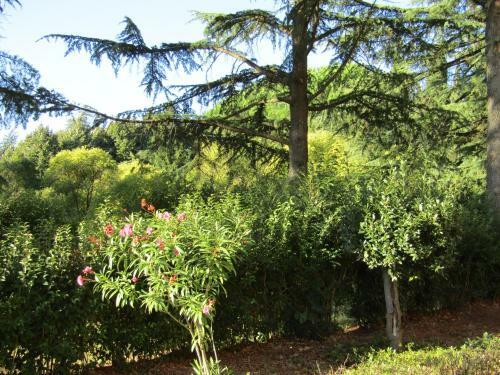 Hostal Monastero San Vincenzo - Casa Per Ferie