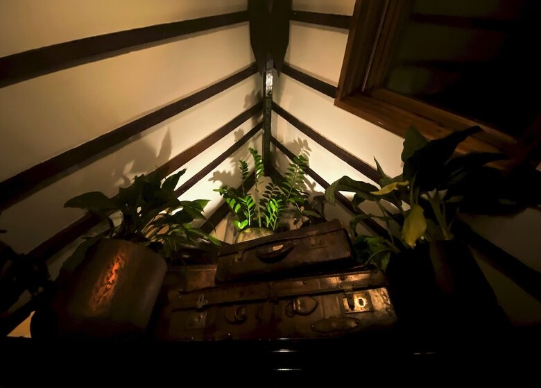 Hotel The Enlightened House