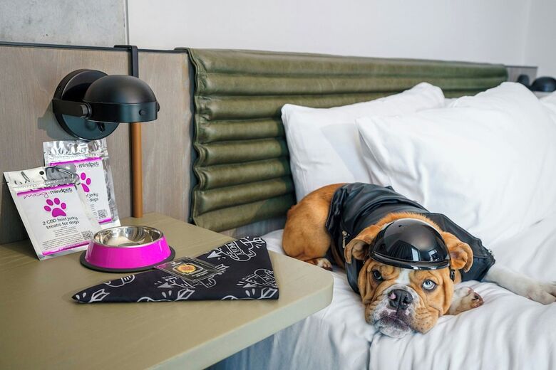 Hotel Moxy Downtown Los Angeles