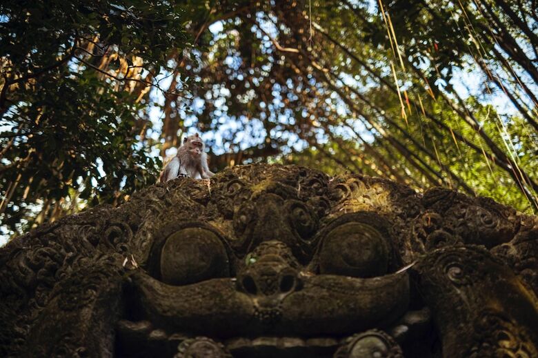 Gdas Bali Health And Wellness Resort