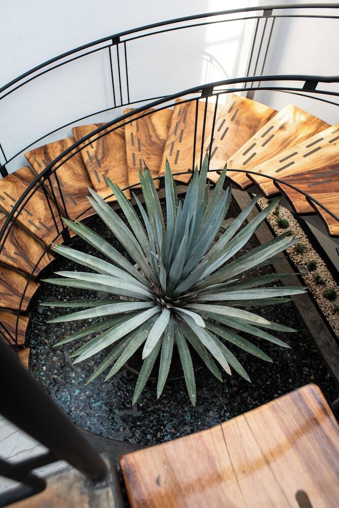 Hotel C�rculo Condesa