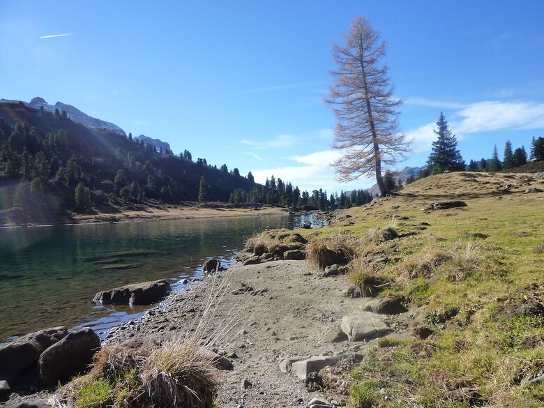 Pension Chalet Berkana