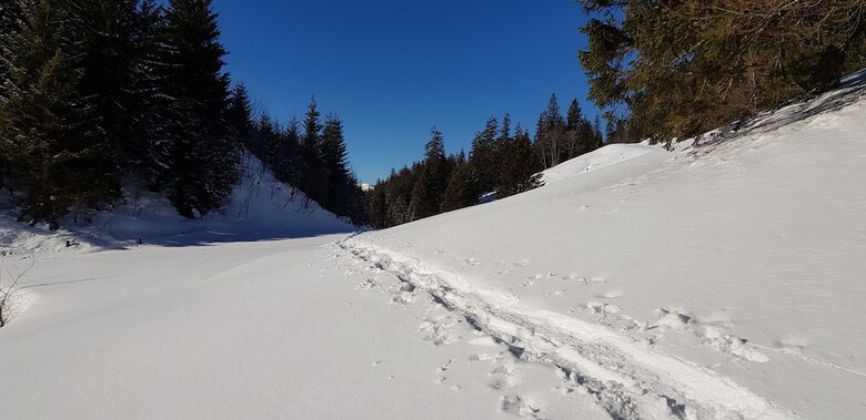 Pension Chalet Berkana