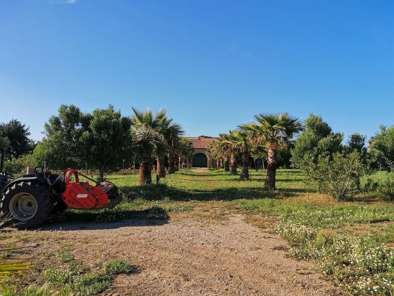 Bed & Breakfast Masseria Del Piano
