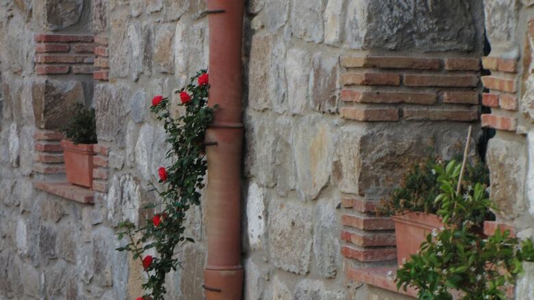 Bed & Breakfast Masseria Del Piano