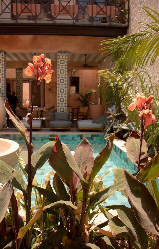 Cigno Hotel (adults Only)