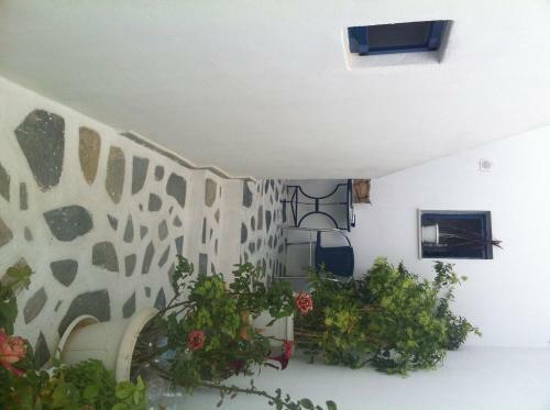 Apartamento Gorgona Studios