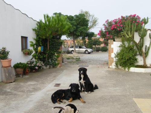 Bed & Breakfast Can Selleretas