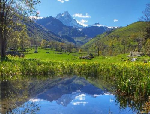 Apartamento Le Bibelot