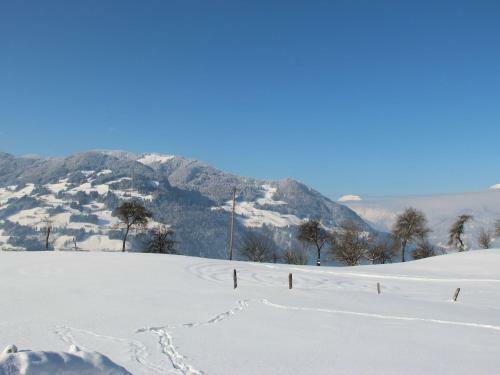 Apartamento Fewo Zillertal