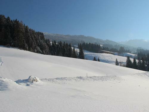 Apartamento Fewo Zillertal