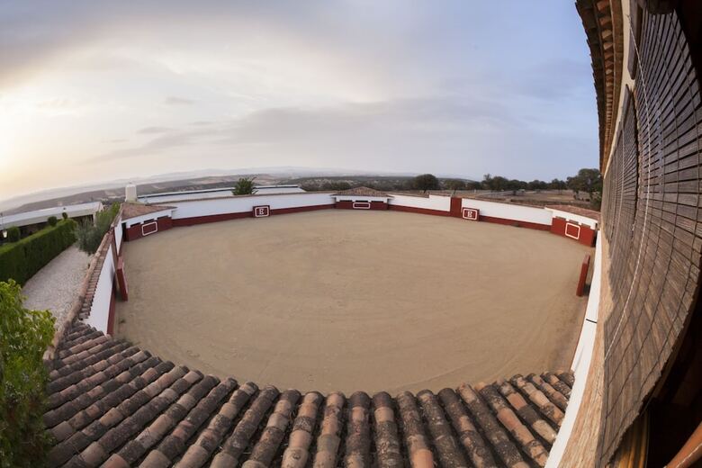 Hotel Complejo Turistico El Cotillo