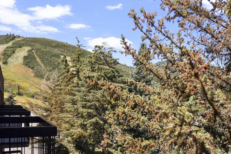 Hotel Shadow Ridge By Luxury Mountain Destinat