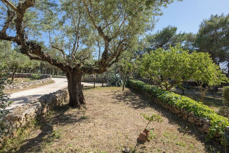 Aresti Mountain Resort