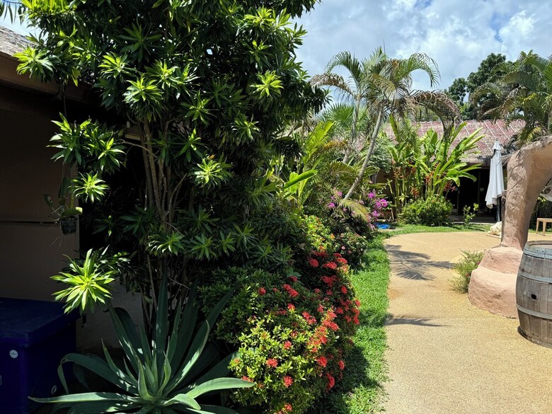 Hotel Tropical Garden Kamala Resort