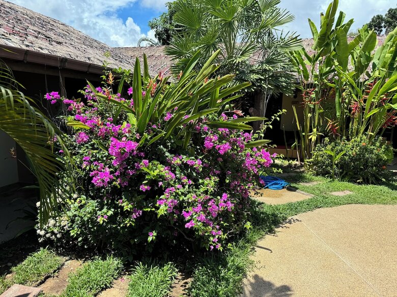 Hotel Tropical Garden Kamala Resort