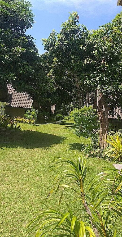 Hotel Cashewnut Tree Resort
