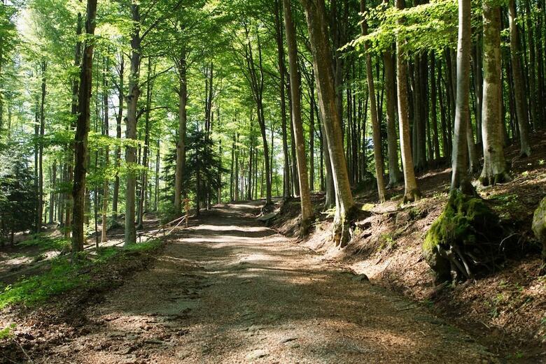 Hotel Parco Dei Faggi - Monte Amiata