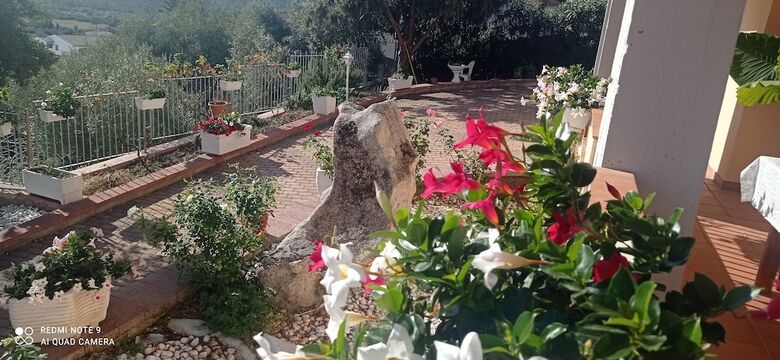 B&B Villa Delle Rose
