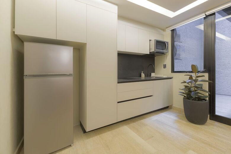 Apartamentos Capitalia Aristoteles Polanco