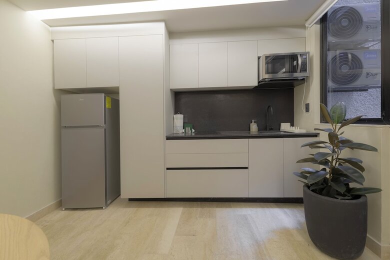 Apartamentos Capitalia Aristoteles Polanco