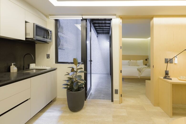 Apartamentos Capitalia Aristoteles Polanco