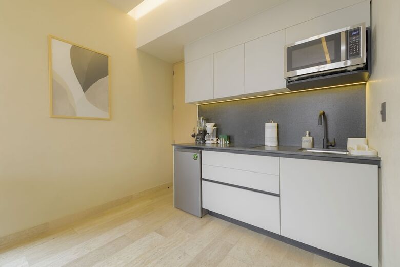 Apartamentos Capitalia Aristoteles Polanco
