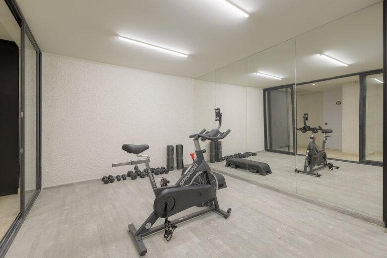 Apartamentos Capitalia Aristoteles Polanco