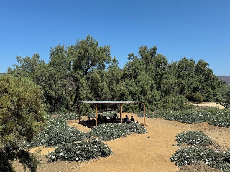 Rancho Dominique Valle De Guadalupe